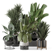 Indoor Plants in Ferm Living Bau Pot Large - Set 2096