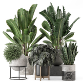 Indoor Plants in Ferm Living Bau Pot Large - Set 2098