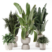 Indoor Plants in Ferm Living Bau Pot Large - Set 2099