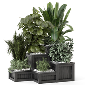 Outdoor Plants in Stepped Pots - Set 2100