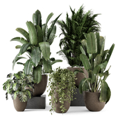 Indoor Plants in Ferm Living Brown Pot Large - Set 2101