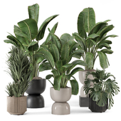 Indoor Plants in Ferm Living Bau Pot Large - Set 2102