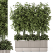 Outdoor Bamboo Plants -Set 2103