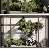 plants behind glass-patioset01