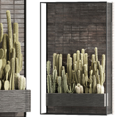 plants behind glass-cactusset03