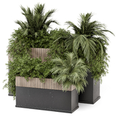 Outdoor Plants Bush In Dark Concrete Pot - Set 2116