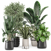 Indoor Plants in Ferm Living Bau Pot Large - Set 2117