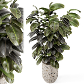 Indoor Plant  in Handmade Terrazzo Pot - Set 2139