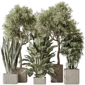 Indoor plants set 61