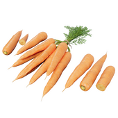 Carrot Set03