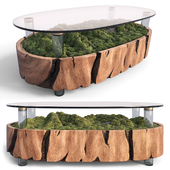 Wood and Moss Table