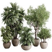 Indoor plant set 490 concrete vase plant palm tree bush pot