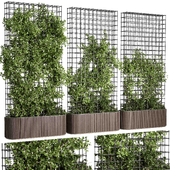 Vertical Garden Partiton Set 493 - Ivy on the fence