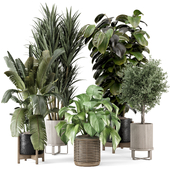 Indoor Plants in Ferm Living Bau Pot Large - Set 2204
