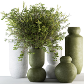 Vase and Plant Decorative Set 142