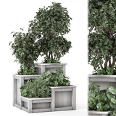 Outdoor Plants in Concrete Pots - Set 2209