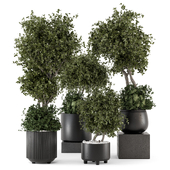 Indoor Plants in Ferm Living Bau Pot Large - Set 2218