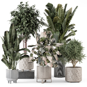 Indoor Plants in Ferm Living Bau Pot Large - Set 2219