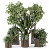 Indoor Plants in Ferm Living Bau Pot Large - Set 2222