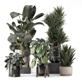 Indoor Plants in Combination of wood & Stone Pot - Set 2225