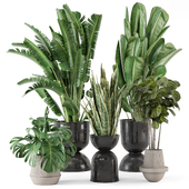 Indoor Plants in Ferm Living Bau Pot Large - Set 2226