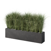 Outdoor Plant Grass Set.76