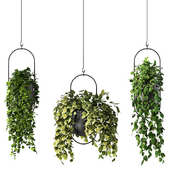 Hanging Plant Set.138