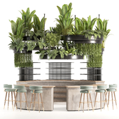 Reception Desk With Hanging Plants - Set03