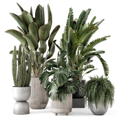Indoor Plants in Ferm Living Bau Pot Large - Set 2242