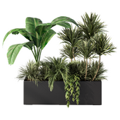 Indoor Tropical Plant Set.139