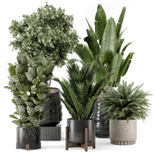 Indoor Plants in Ferm Living Bau Pot Large - Set 2243