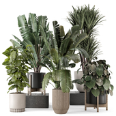 Indoor Plants in Ferm Living Bau Pot Large - Set 2245