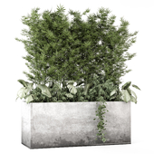 Outdoor Plants Bamboo in Concrete Pot -Set 2246