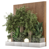 Indoor Wall Bamboo Garden in Wooden Base - Set 2249