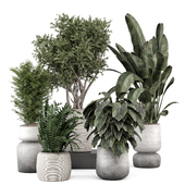 Indoor Plants in Ferm Living Bau Pot Large - Set 2251