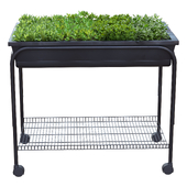 Vegetables table