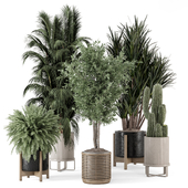 Indoor Plants in Ferm Living Bau Pot Large - Set 2253
