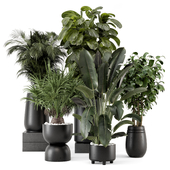 Indoor Plants in Ferm Living Bau Pot Large - Set 2254