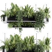 Indoorplants-Hanging plant With light-set33