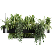 Indoorplants-Hanging plant With light-set33