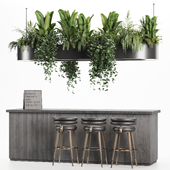 Reception Desk With Hanging Plants - Set04