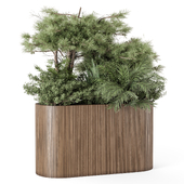 Outdoor Plants in Wooden Pot - Set 2272