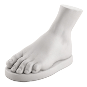 Plaster figure of the foot of Hercules