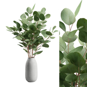 Vase Eucalyptus Bouquet