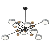 Pard nordic ceiling light