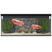 Arowana aquarium N01 orange fish