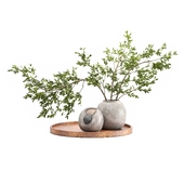 Plum branch in a stone vase 01