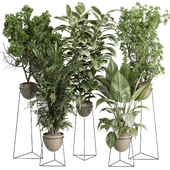 metal plants on stand - Office plant set indoor plant 516