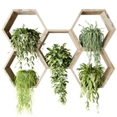 Ампельные растения в шестиугольниках на стену
