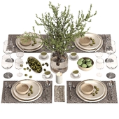 tableware setting N033